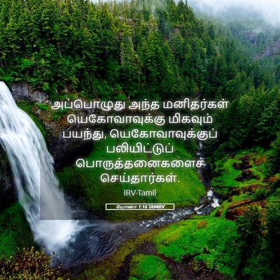 Picture 05 - யோனா 1:16 TAMIRV - அப்பொழுது அந்த - Bible Verse Picture