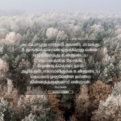 Picture 05 - யோனா 1:6 TAMIRV - அப்பொழுது மாலுமி - Bible Verse Picture