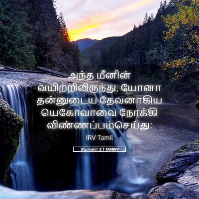 Picture 05 - யோனா 2:1 TAMIRV - அந்த மீனின் - Bible Verse Picture