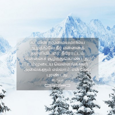 Picture 05 - யோனா 2:3 TAMIRV - கடலின் - Bible Verse Picture