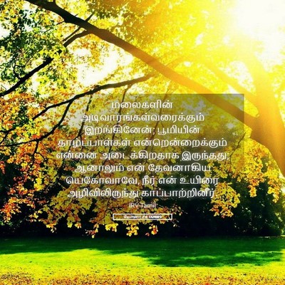 Picture 05 - யோனா 2:6 TAMIRV - மலைகளின் - Bible Verse Picture