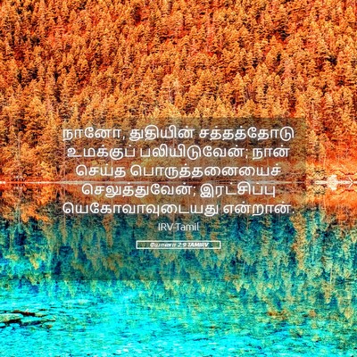 Picture 05 - யோனா 2:9 TAMIRV - நானோ, துதியின் - Bible Verse Picture