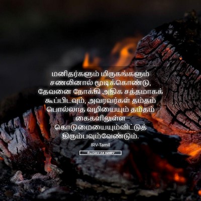 Picture 05 - யோனா 3:8 TAMIRV - மனிதர்களும் - Bible Verse Picture