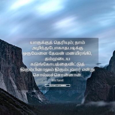 Picture 05 - யோனா 3:9 TAMIRV - யாருக்குத் - Bible Verse Picture