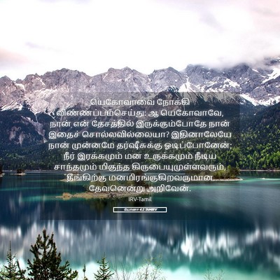 Picture 05 - யோனா 4:2 TAMIRV - யெகோவாவை நோக்கி - Bible Verse Picture