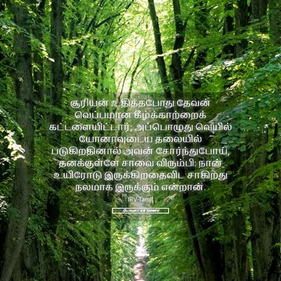 Picture 05 - யோனா 4:8 TAMIRV - சூரியன் - Bible Verse Picture
