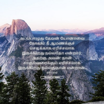 Picture 05 - யோனா 4:9 TAMIRV - அப்பொழுது தேவன் - Bible Verse Picture