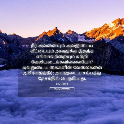 Picture 05 - யோபு 1:10 TAMIRV - நீர் அவனையும் - Bible Verse Picture