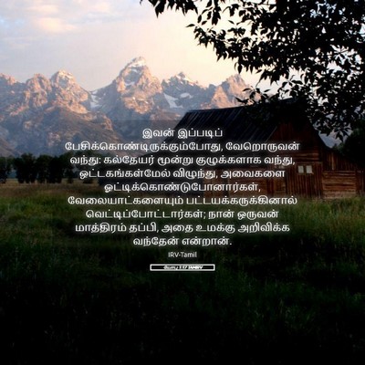 Picture 05 - யோபு 1:17 TAMIRV - இவன் இப்படிப் - Bible Verse Picture