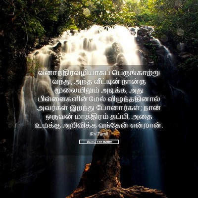 Picture 05 - யோபு 1:19 TAMIRV - வனாந்திரவழியாகப் - Bible Verse Picture