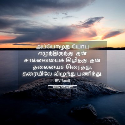 Picture 05 - யோபு 1:20 TAMIRV - அப்பொழுது யோபு - Bible Verse Picture