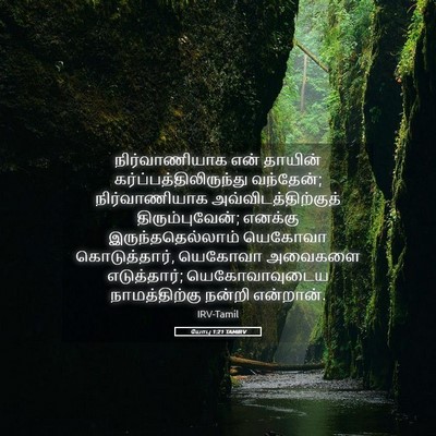 Picture 05 - யோபு 1:21 TAMIRV - நிர்வாணியாக என் - Bible Verse Picture