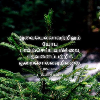 Picture 05 - யோபு 1:22 TAMIRV -  - Bible Verse Picture