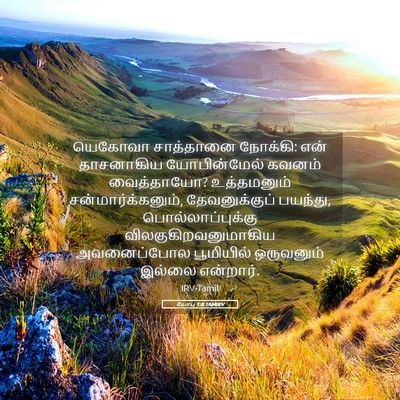 Picture 05 - யோபு 1:8 TAMIRV - யெகோவா சாத்தானை - Bible Verse Picture