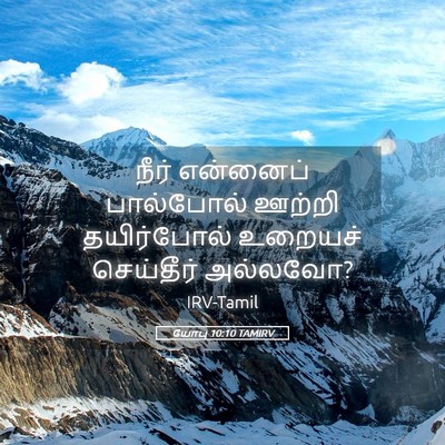 Picture 05 - யோபு 10:10 TAMIRV - நீர் என்னைப் - Bible Verse Picture
