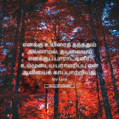 Picture 05 - யோபு 10:12 TAMIRV - எனக்கு உயிரைத் - Bible Verse Picture