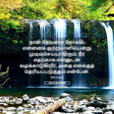 Picture 05 - யோபு 10:2 TAMIRV - நான் தேவனை நோக்கி: - Bible Verse Picture