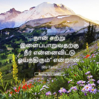 Picture 05 - யோபு 10:22 TAMIRV - நான் சற்று - Bible Verse Picture