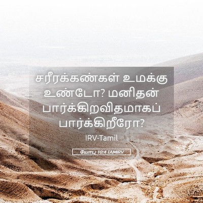 Picture 05 - யோபு 10:4 TAMIRV - சரீரக்கண்கள் - Bible Verse Picture