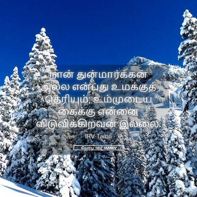 Picture 05 - யோபு 10:7 TAMIRV - நான் - Bible Verse Picture