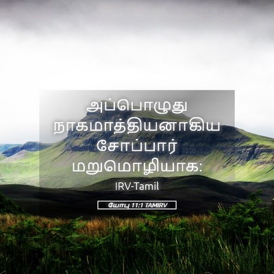 Picture 05 - யோபு 11:1 TAMIRV - அப்பொழுது - Bible Verse Picture