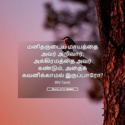 Picture 05 - யோபு 11:11 TAMIRV - மனிதருடைய மாயத்தை - Bible Verse Picture