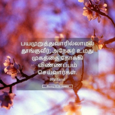 Picture 05 - யோபு 11:19 TAMIRV -  - Bible Verse Picture