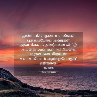 Picture 05 - யோபு 11:20 TAMIRV - துன்மார்க்கருடைய - Bible Verse Picture
