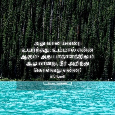 Picture 05 - யோபு 11:8 TAMIRV - அது வானம்வரை - Bible Verse Picture