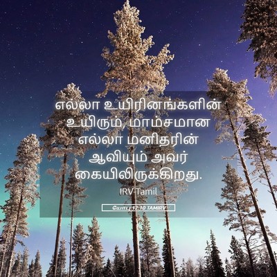 Picture 05 - யோபு 12:10 TAMIRV - எல்லா - Bible Verse Picture