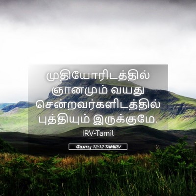 Picture 05 - யோபு 12:12 TAMIRV - முதியோரிடத்தில் - Bible Verse Picture
