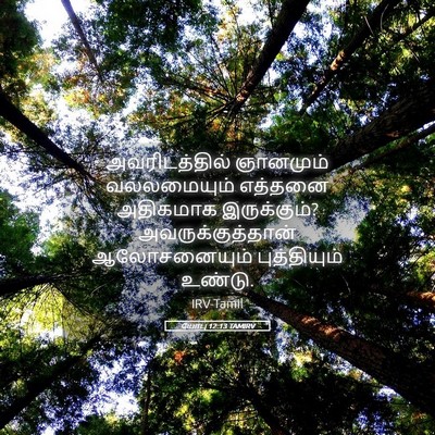 Picture 05 - யோபு 12:13 TAMIRV - அவரிடத்தில் - Bible Verse Picture
