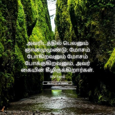 Picture 05 - யோபு 12:16 TAMIRV - அவரிடத்தில் - Bible Verse Picture