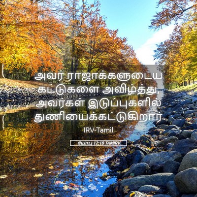 Picture 05 - யோபு 12:18 TAMIRV - அவர் ராஜாக்களுடைய - Bible Verse Picture