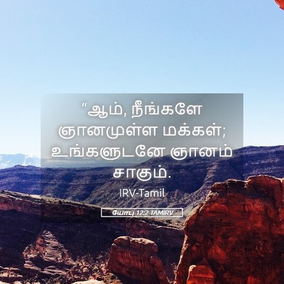 Picture 05 - யோபு 12:2 TAMIRV - “ஆம், நீங்களே - Bible Verse Picture