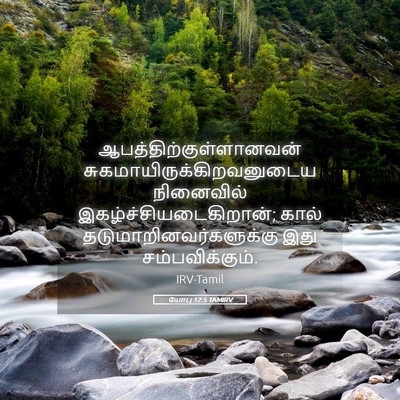 Picture 05 - யோபு 12:5 TAMIRV -  - Bible Verse Picture