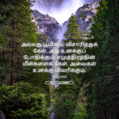 Picture 05 - யோபு 12:8 TAMIRV - அல்லது பூமியை - Bible Verse Picture