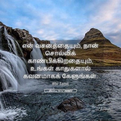 Picture 05 - யோபு 13:17 TAMIRV - என் வசனத்தையும், - Bible Verse Picture