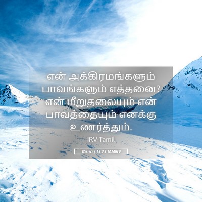 Picture 05 - யோபு 13:23 TAMIRV - என் - Bible Verse Picture