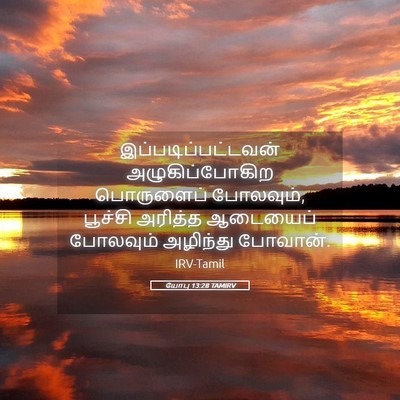 Picture 05 - யோபு 13:28 TAMIRV - இப்படிப்பட்டவன் - Bible Verse Picture