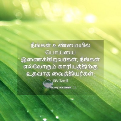 Picture 05 - யோபு 13:4 TAMIRV - நீங்கள் உண்மையில் - Bible Verse Picture