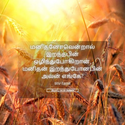 Picture 05 - யோபு 14:10 TAMIRV - மனிதனோவென்றால் - Bible Verse Picture