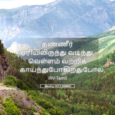 Picture 05 - யோபு 14:11 TAMIRV - தண்ணீர் - Bible Verse Picture