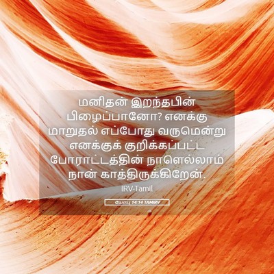 Picture 05 - யோபு 14:14 TAMIRV - மனிதன் இறந்தபின் - Bible Verse Picture