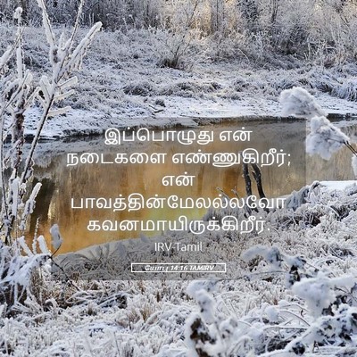 Picture 05 - யோபு 14:16 TAMIRV - இப்பொழுது என் - Bible Verse Picture