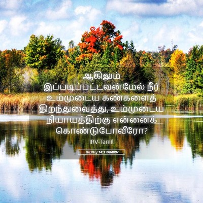 Picture 05 - யோபு 14:3 TAMIRV - ஆகிலும் - Bible Verse Picture