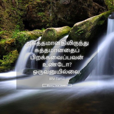 Picture 05 - யோபு 14:4 TAMIRV -  - Bible Verse Picture