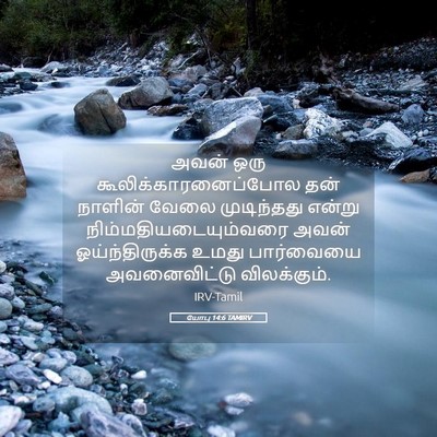 Picture 05 - யோபு 14:6 TAMIRV - அவன் ஒரு - Bible Verse Picture