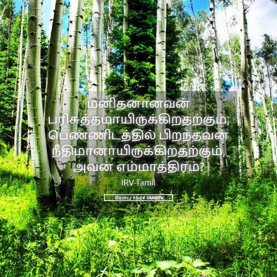 Picture 05 - யோபு 15:14 TAMIRV - மனிதனானவன் - Bible Verse Picture