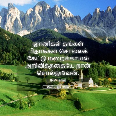 Picture 05 - யோபு 15:18 TAMIRV - ஞானிகள் தங்கள் - Bible Verse Picture